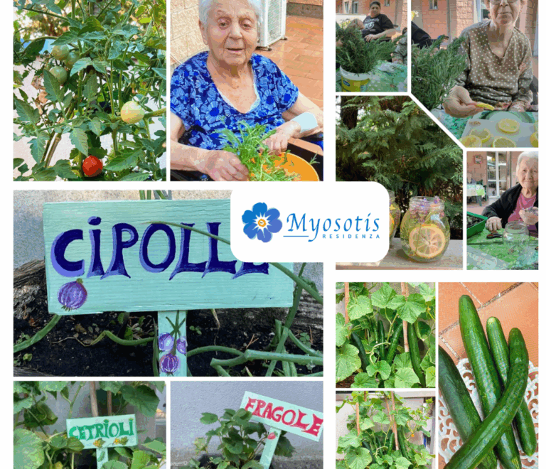 Evviva l’estate – Fiori ed aromi in vaso